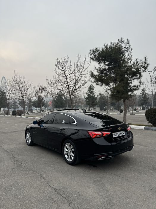 Malibu 2 primer  2020