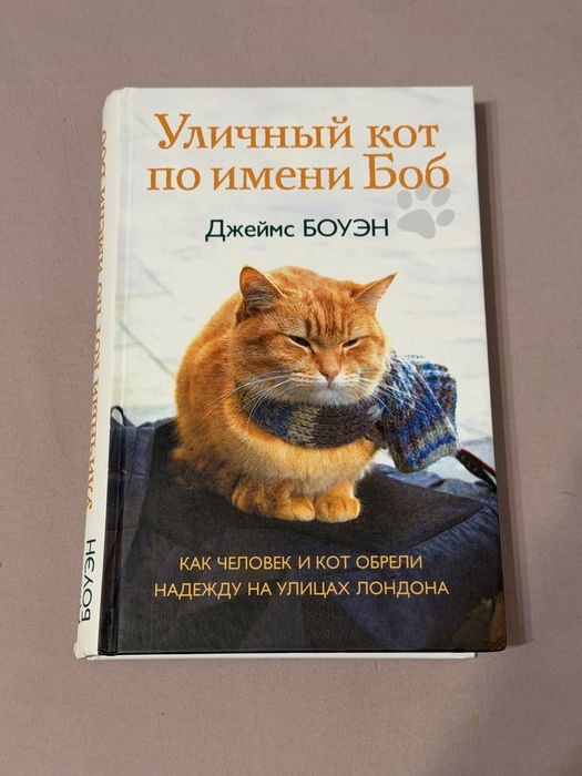 Книги (некоторые новые)