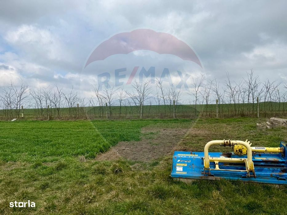 Teren de vanzare in Săcele ideal pentru silozuri, fermă 6 ha