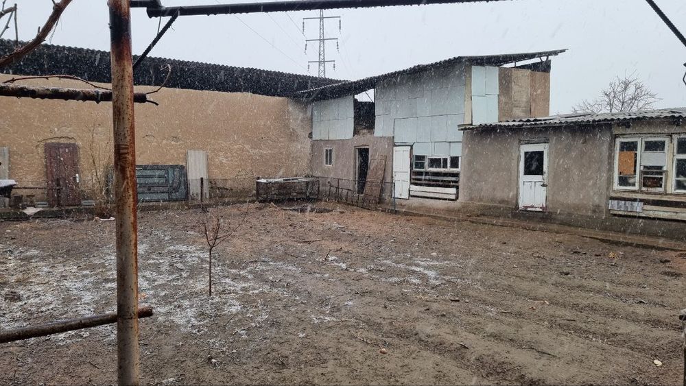 Участка сотилада срочно