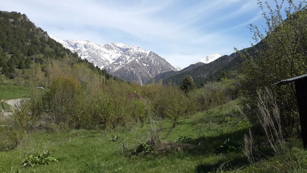 Участок под откорм скота (8га)