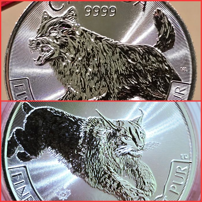 Canada Royal Canadian Mint monede lingou argint 999