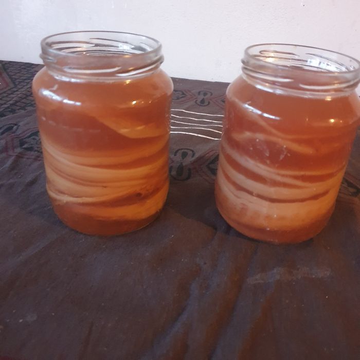 Ciuperca kombucha