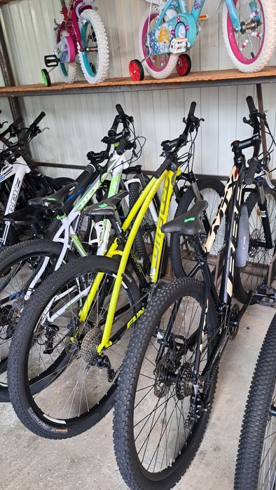 Biciclete copii si adulti import Anglia