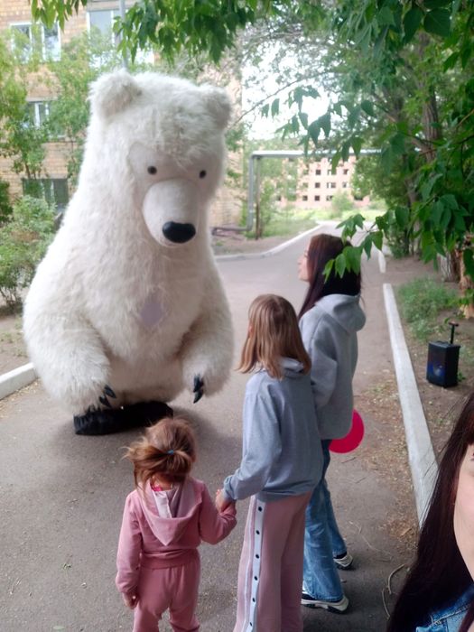 Продам белого мишку