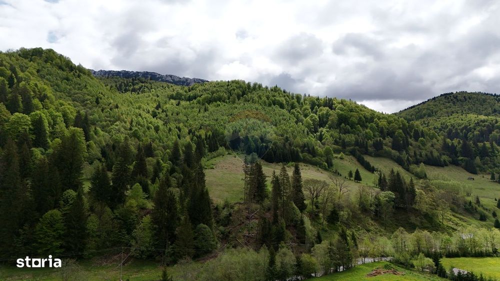 Extravilan + Intravilan | Sătic-Rucăr | Cadru natural | Turistic