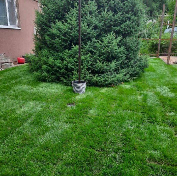 Садовник Дизайн Сад