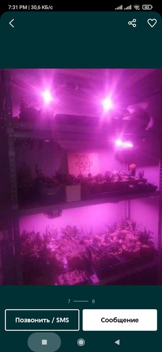 Для растений цветов и рассады фито лампа для светильник прожектор