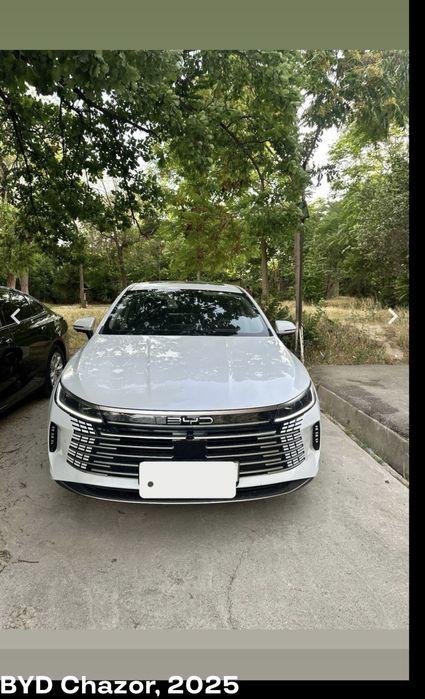 BYD CHazor -2025