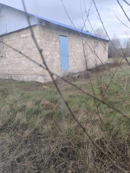 Дачный участок с домиком