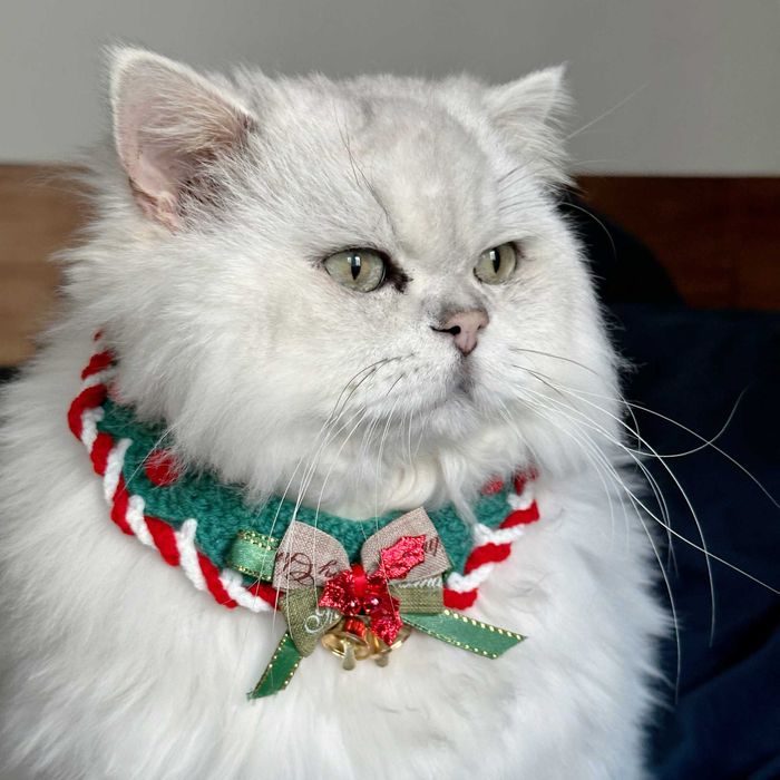 Коледна шапка елха за котка или малко куче – сладък празничен аксесоар
