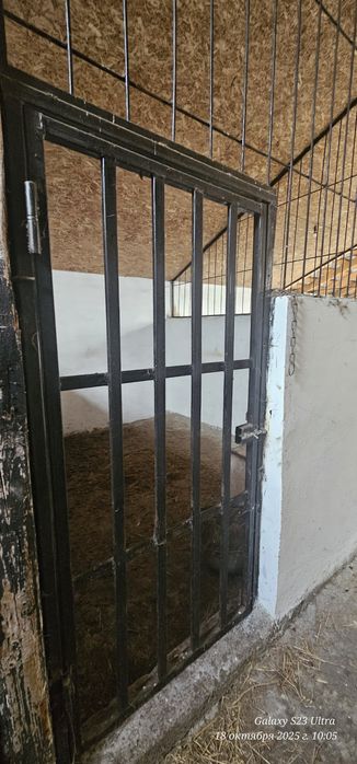 Продам животноводческую базу