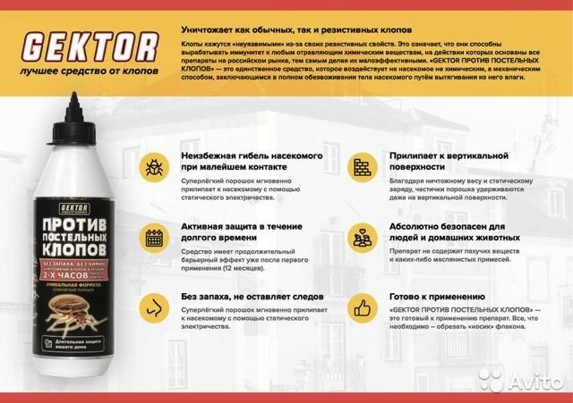Gektor (Гектор) средство против постельных клопов, 100гр