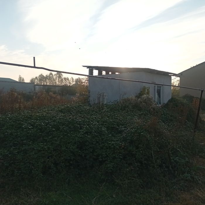 Уй чотилади 15 сотих