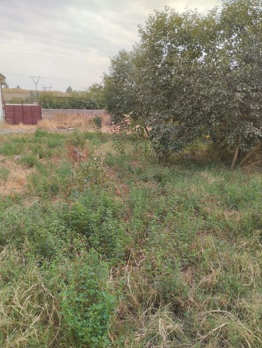 Yangi Toshkenta Qurug' yer Sotiladi -Bo'lib  to'lashgayam beriladi