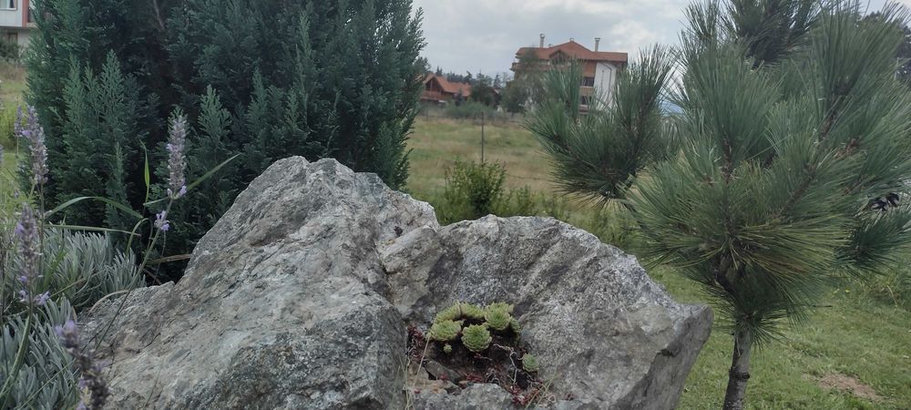 Продава се Къща в с. Маджаре, Област София-област - 635 кв.м за 355 €/кв.м - Снимка #15