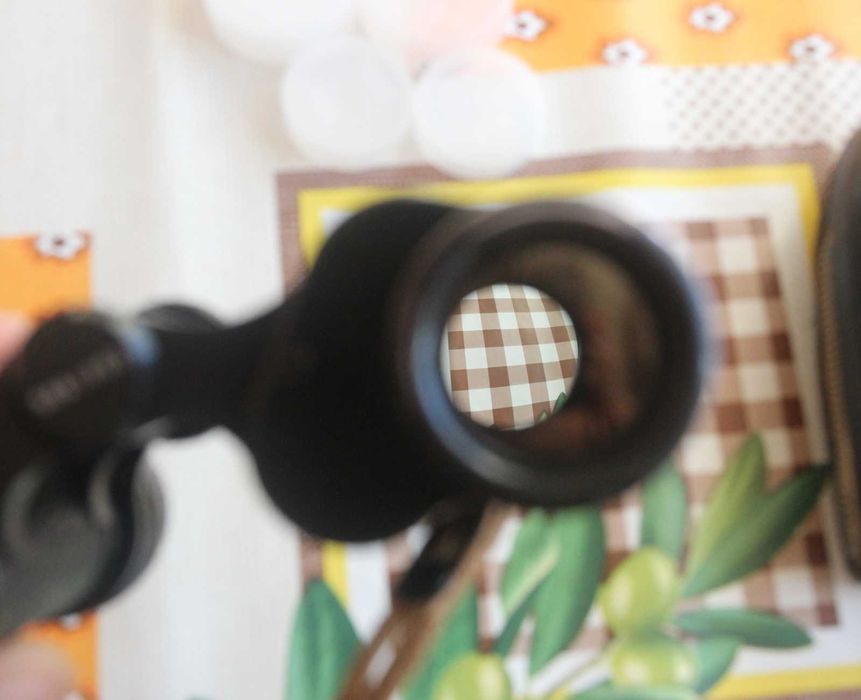 Бинокъл Carl Zeiss Jena Deltrintem 8 x 30