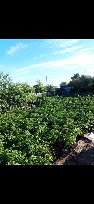 продам дачу 6 общество