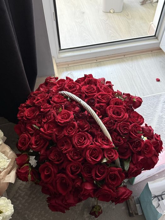 цветы красные розы