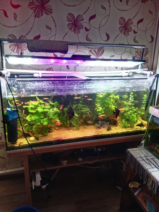 Продам аквариум в сборе