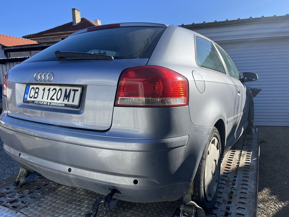Audi A3 8P 1.9TDI BLS на части
