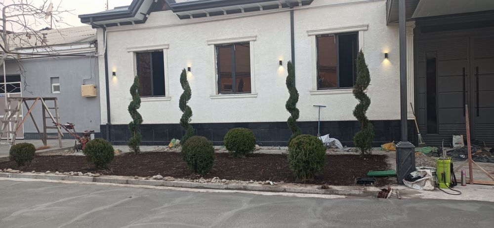 Арчаларга шакл бериш озиклантириш касални даволаш хизмати мавжуд