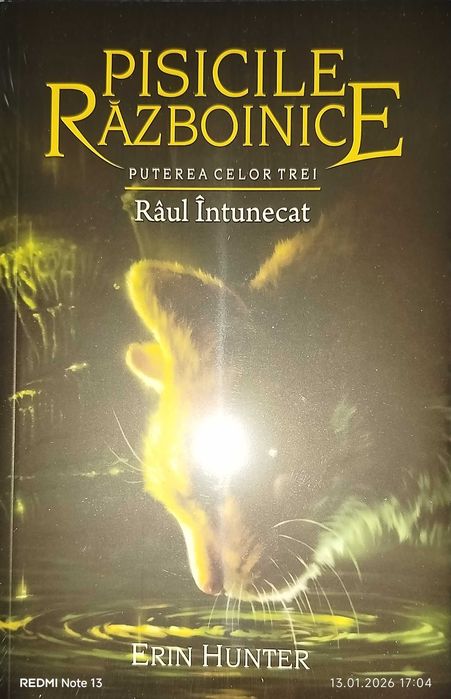 Cărți Pisici 2 bucăti Noi