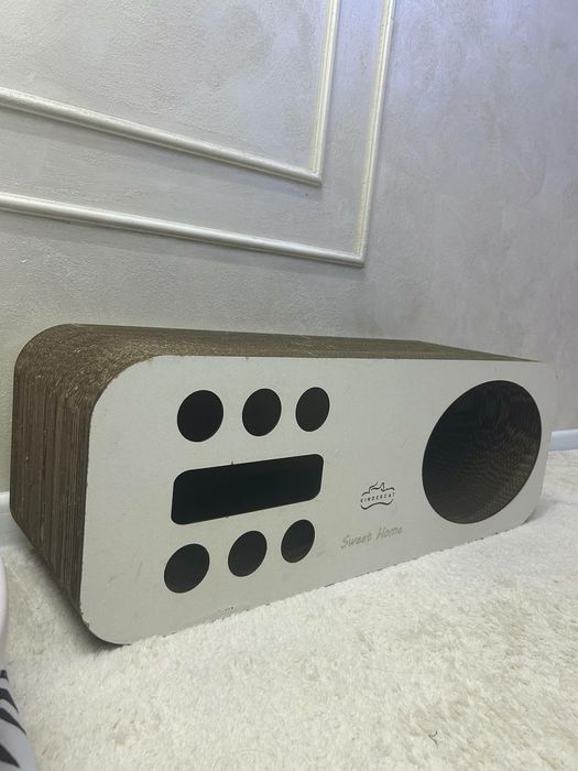 Котята Скоттиш-страйт (шотландская прямоухая)