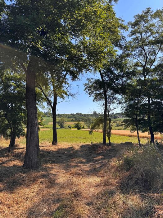 Teren 5300 m² + casă veche locuibilă – Saucenița, com. Văculești