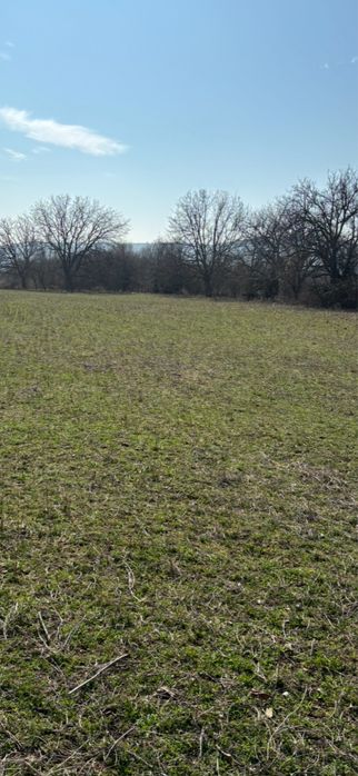 Продава се Парцел в с. Богомилово, Област Стара Загора - 1878 кв.м за 19 €/кв.м - Снимка #20