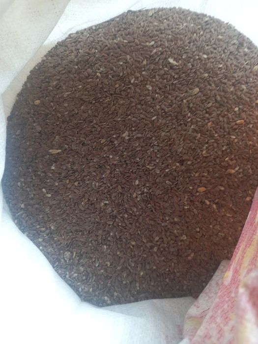 Продам лён кормовой