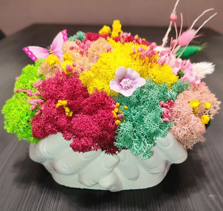 Различни видове кашпи със скандинавски мъх