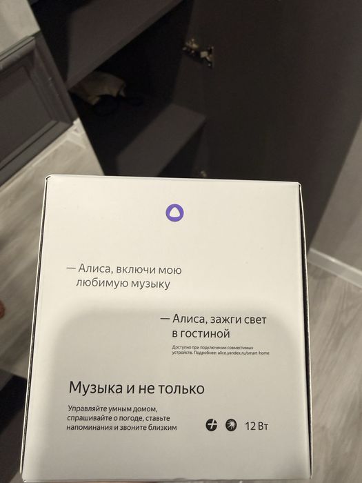 Алиса станция мини