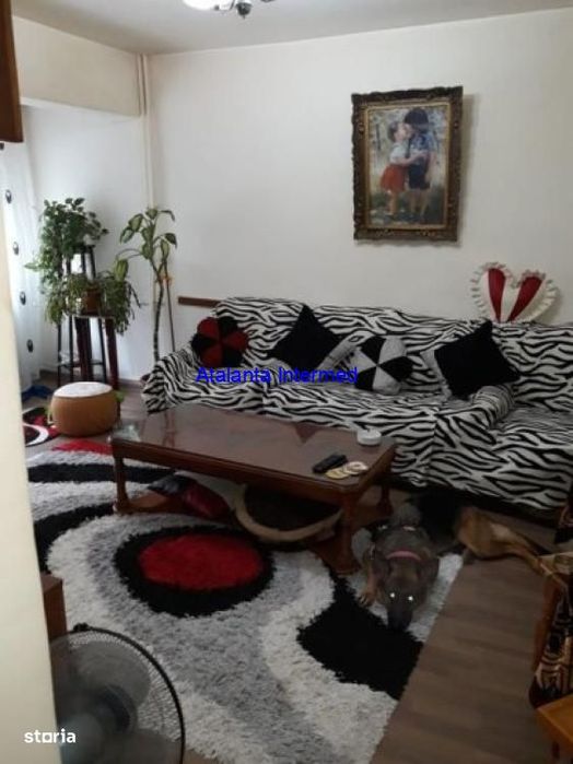 Vanzari Apartamente 2 Camere
