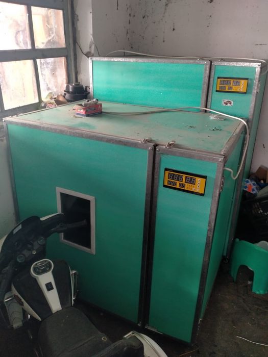 инкубатор для куриных яиц