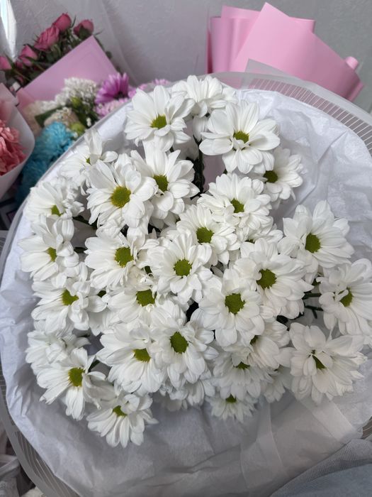 Живые цветы розы букеты
