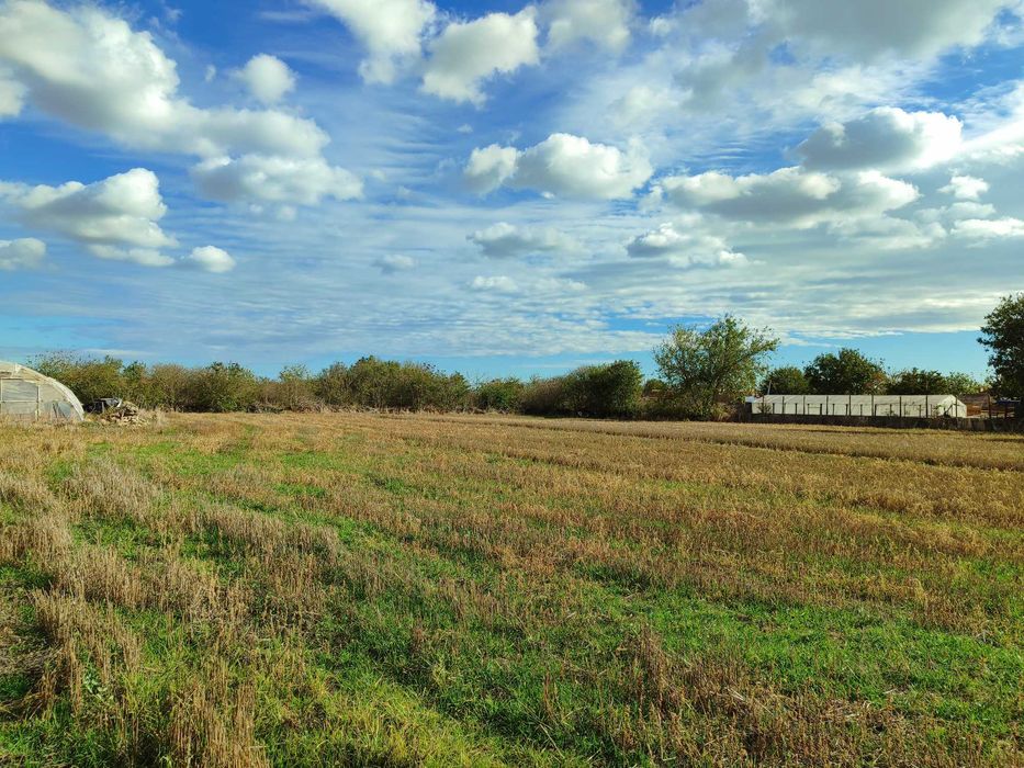 Продава се Парцел в с. Българево, Област Добрич - 4500 кв.м за 16 €/кв.м - Снимка #7