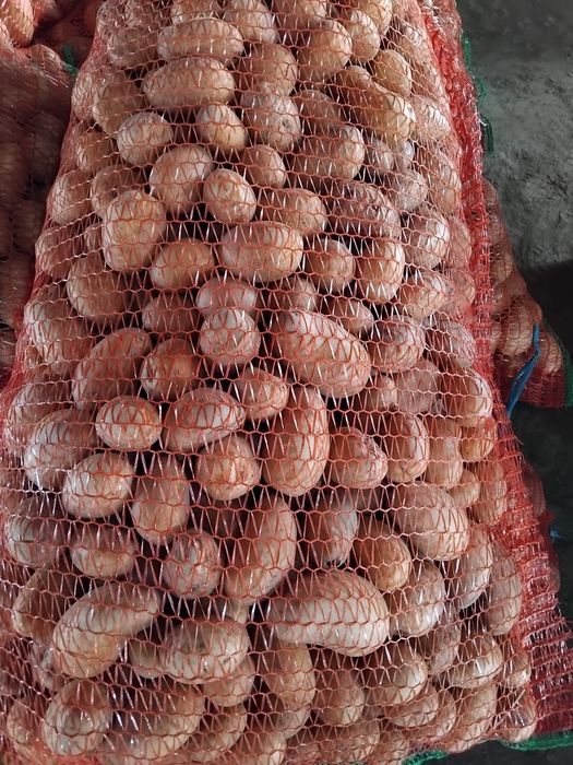 Cartofi pentru animale