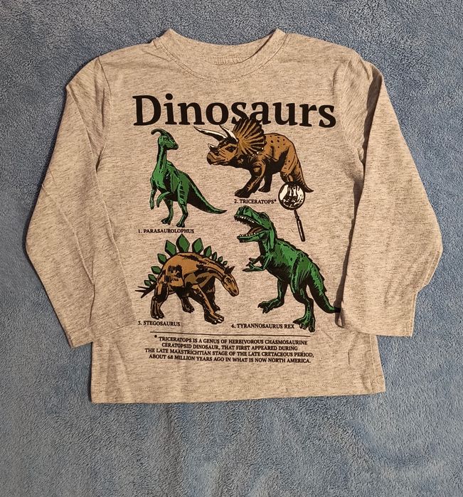 Bluza cu dinozauri. H&M, marimea 98-104