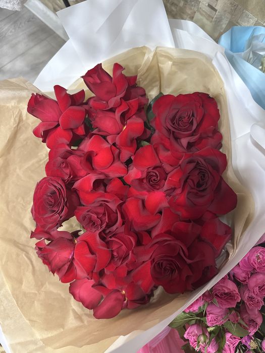 Цветы.  Розы.