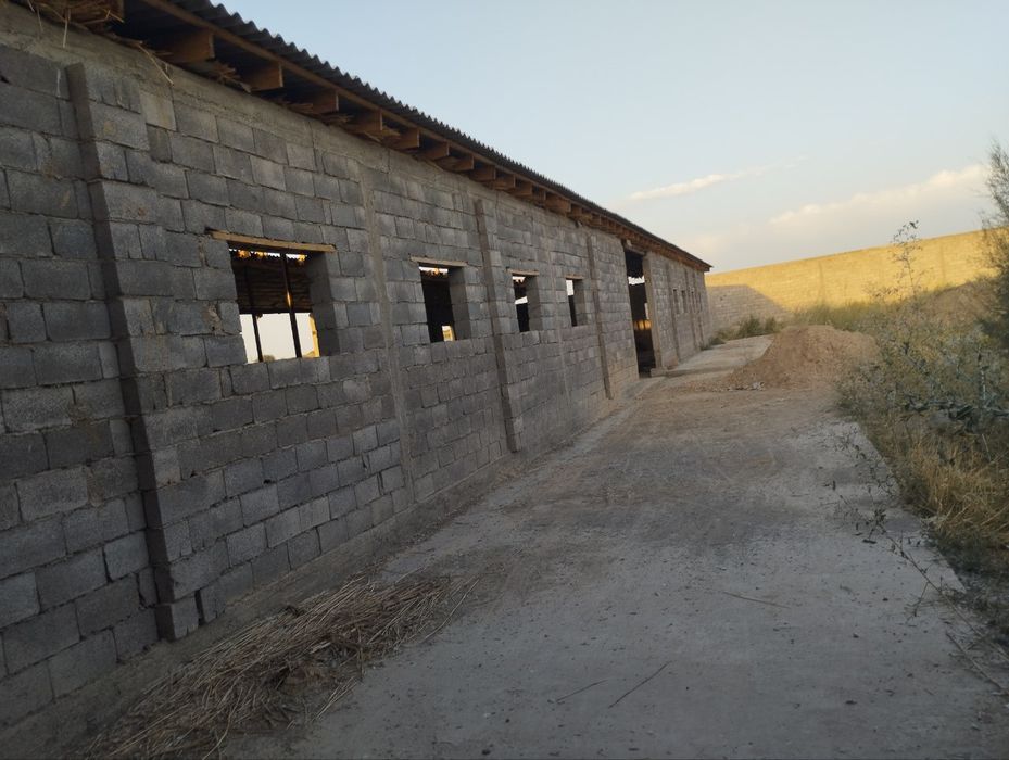 Ferma tovuq boqishga muljalangan