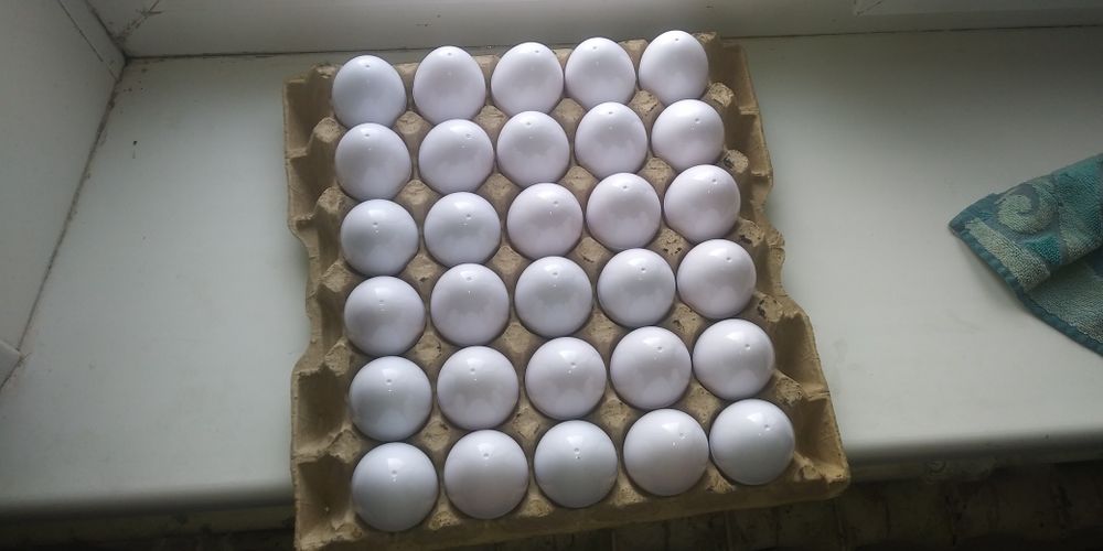 Искуственное яйцо муляж