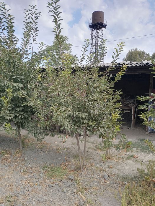 Срочно продается участок!