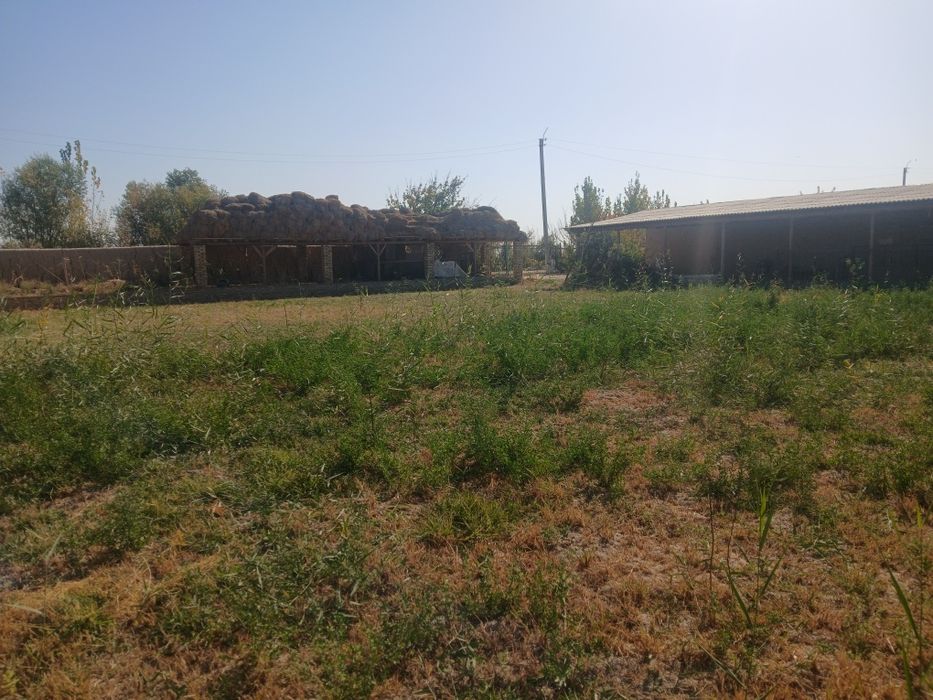 Янгиарик туман Вакиллар МФЙ да жойлашган 30 сотих ховли жой хамда