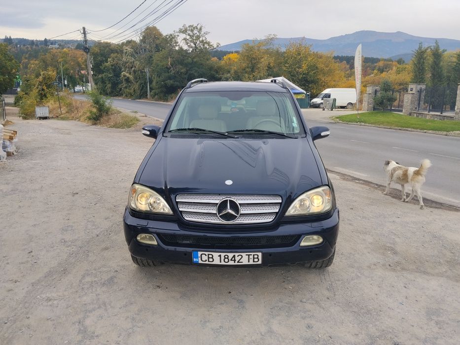 Mercedes-Benz ML 270 2004 година