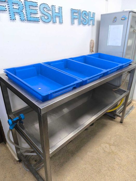 Маса за Риба неръждаема