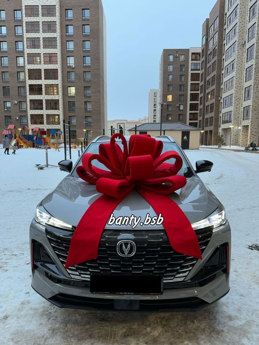 Банты на машину !!!