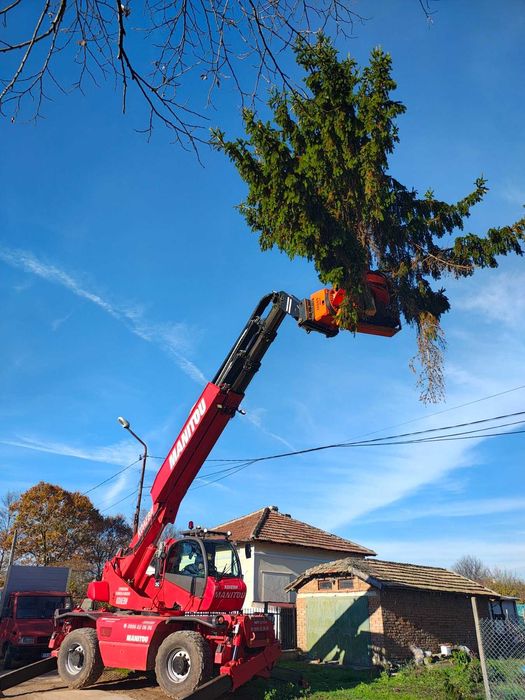 Премахване на опасни дървета
