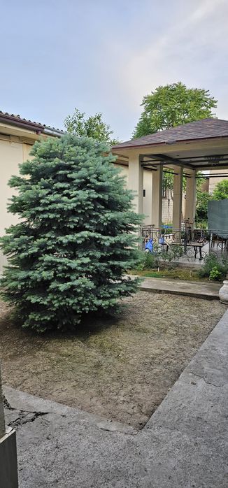 СРОЧНО! Продаётся Свой Дом!