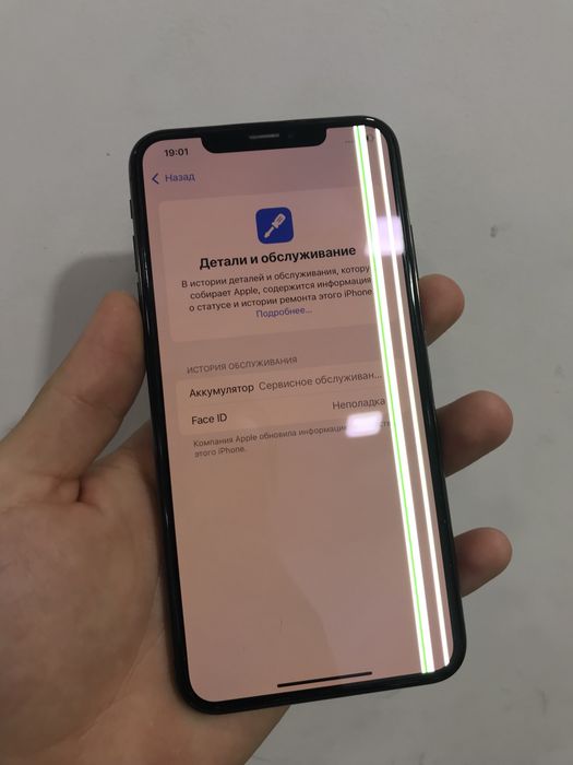 Xs max 64gb rodnoy